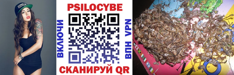 Купить где  Любим  Галлюциногенные грибы прущие грибы 